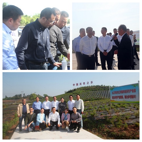 FotoJet.jpg FotoJet.jpg